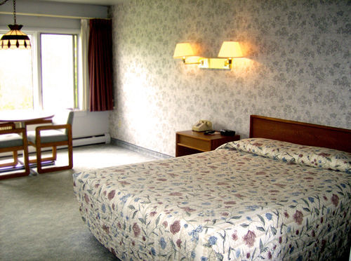 Swan Inn Motel Comstock Park Екстериор снимка
