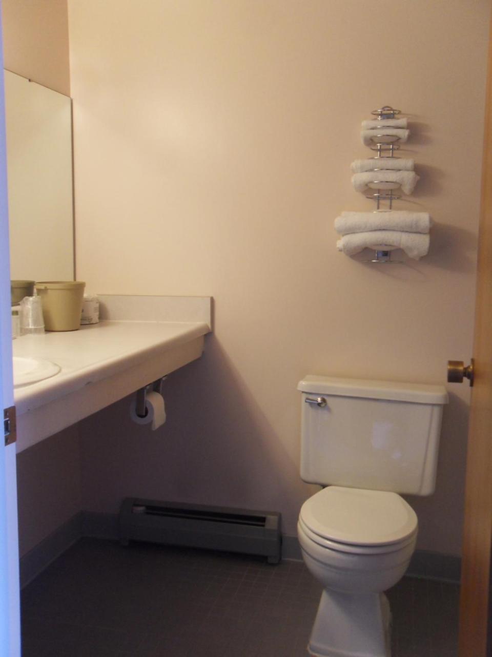 Swan Inn Motel Comstock Park Екстериор снимка