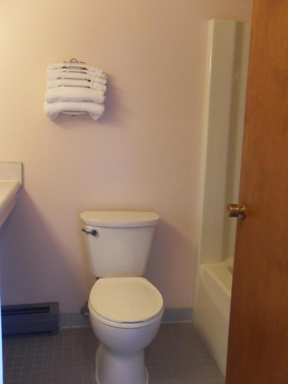 Swan Inn Motel Comstock Park Екстериор снимка